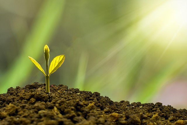 Read more about the article Didem Özgün Avukatlık Başarı Hikayesi 2025